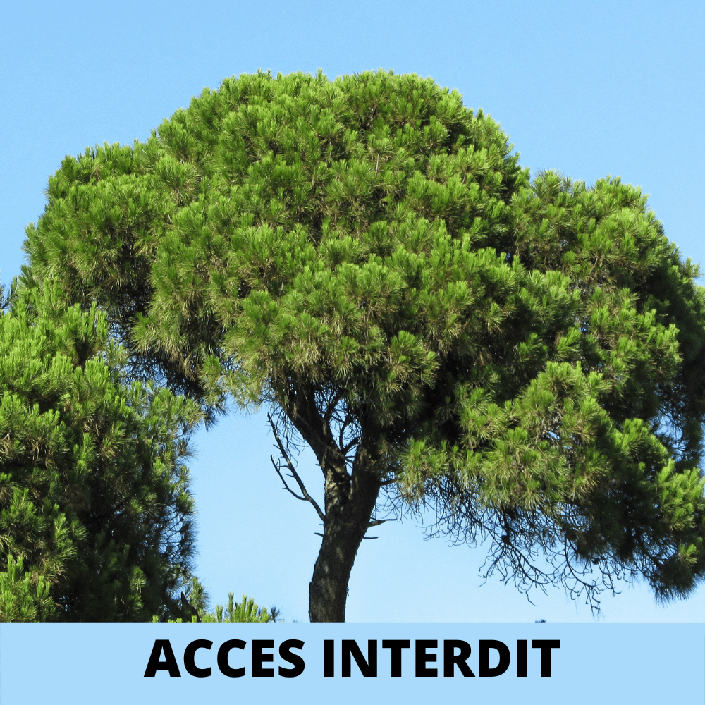 Le blog de Tchapot et Gafarots